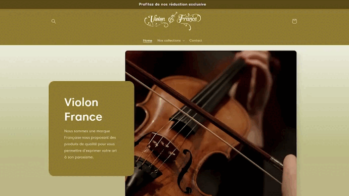 gif de presentation du site ViolonFrance